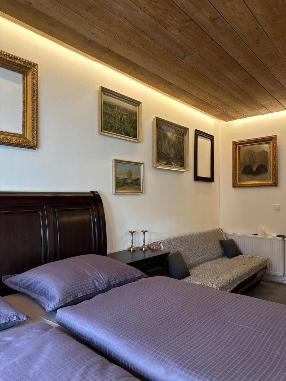 Pension Merano Jetrichovice  Экстерьер фото