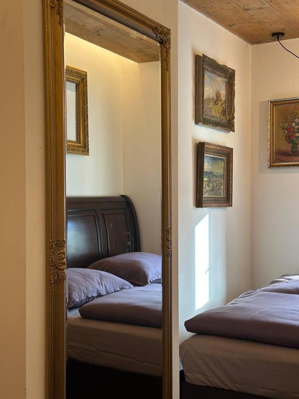 Pension Merano Jetrichovice  Экстерьер фото